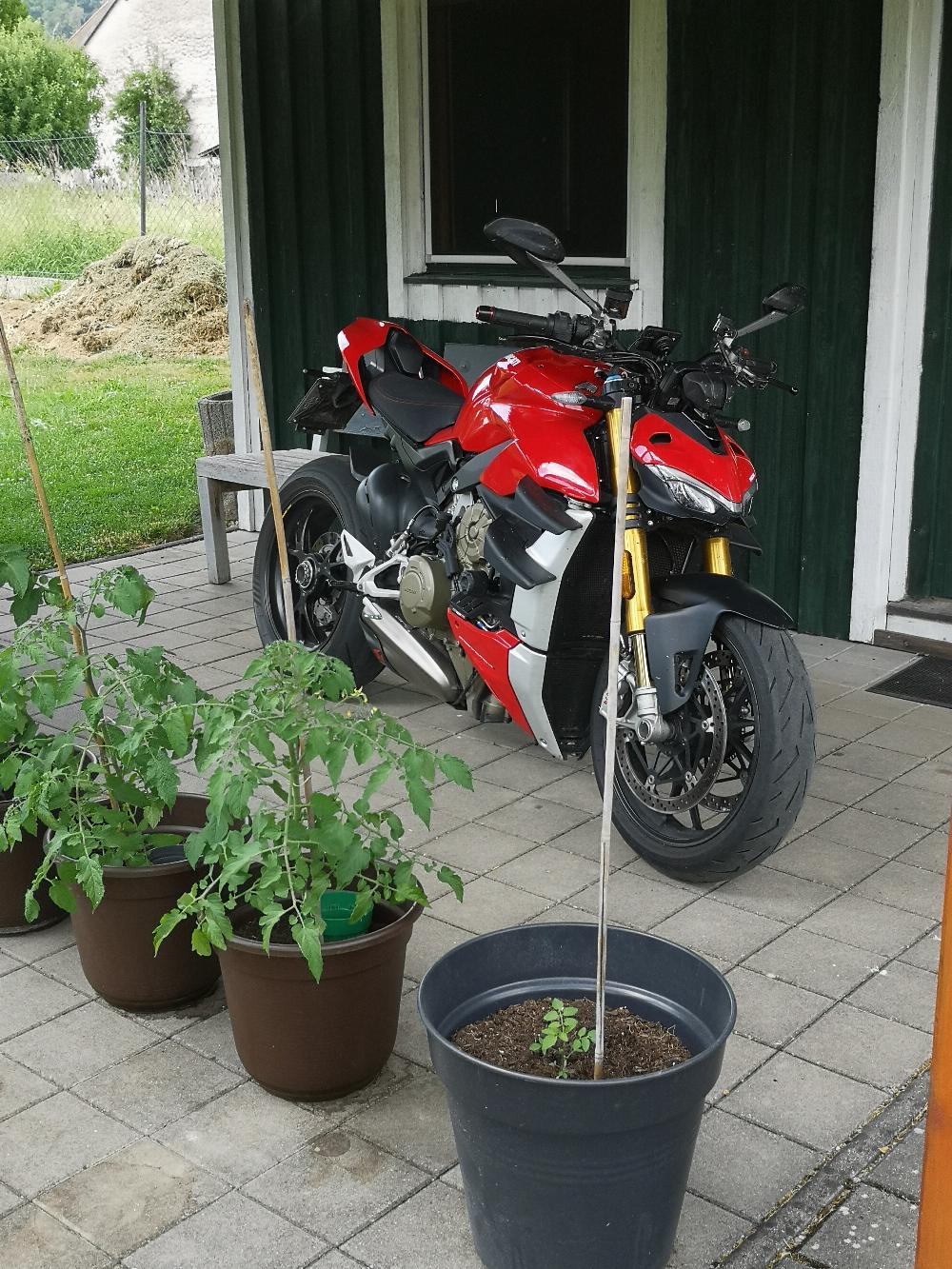 Motorrad verkaufen Ducati STREETFIGHTER V4S Ankauf